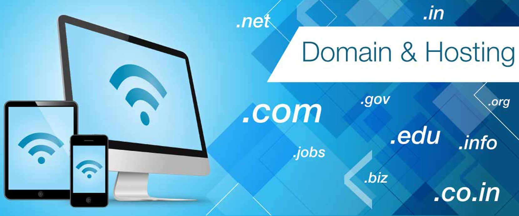 Hosting & Domain